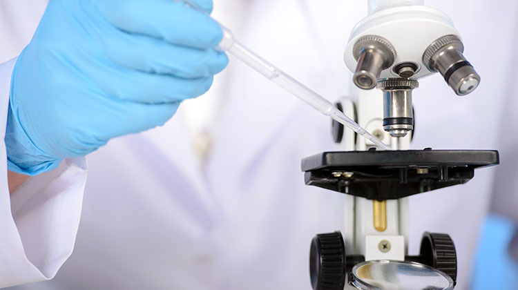 Lab Services